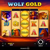 FoxyGold - Wolf Gold Slot Game - Pragmatic Play